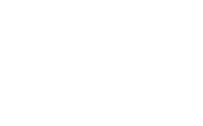 Perfect Gonzo Logo